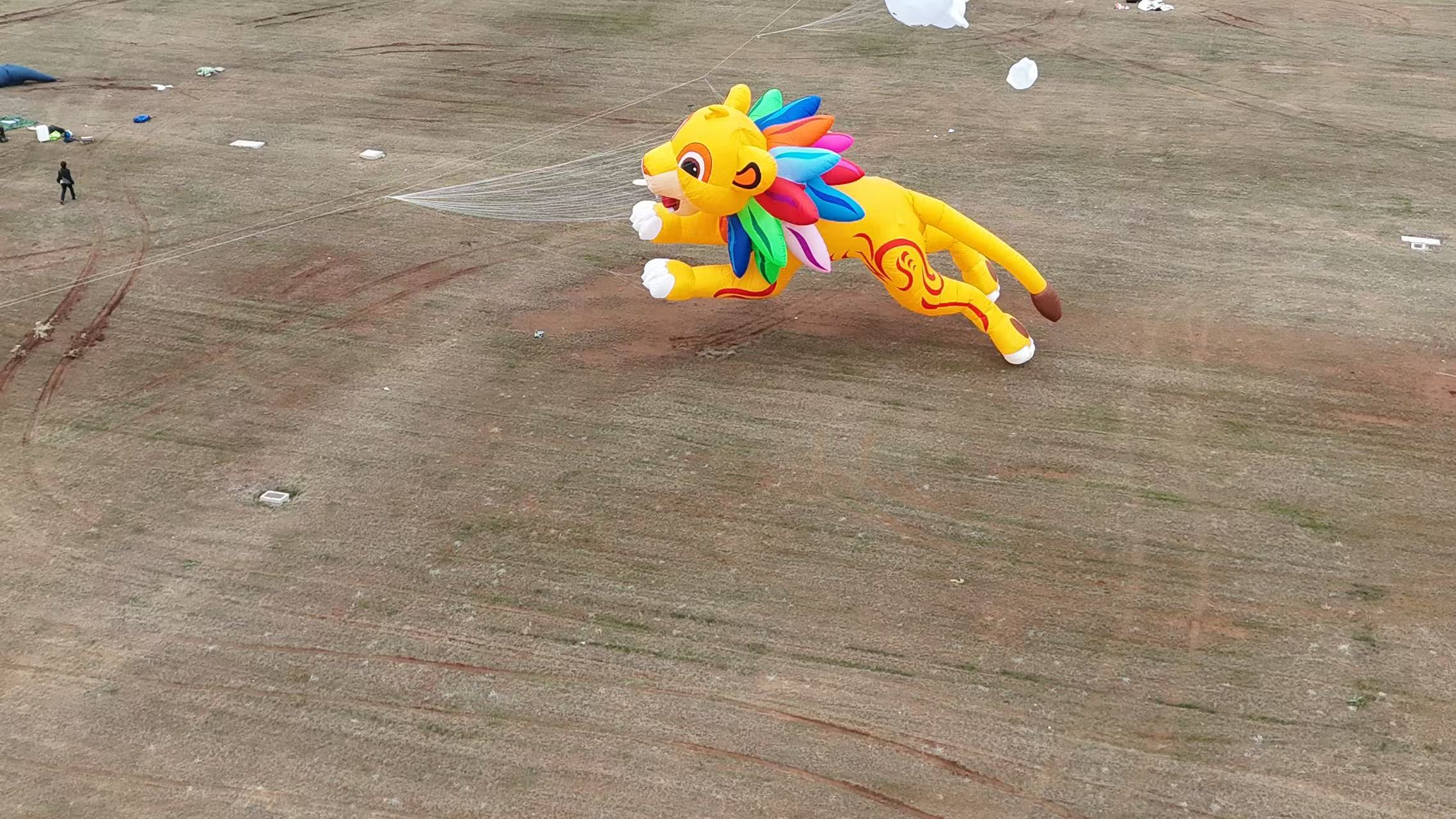 安顺市品牌风筝定制软体风筝定制 - 推荐