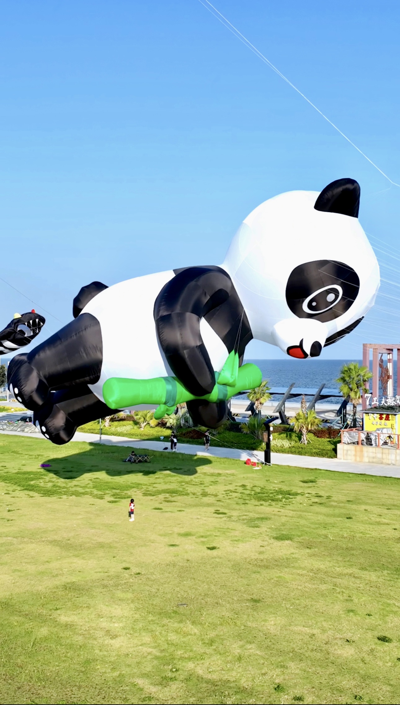 安顺市风筝定制风筝放飞活动策划 - 一站式服务